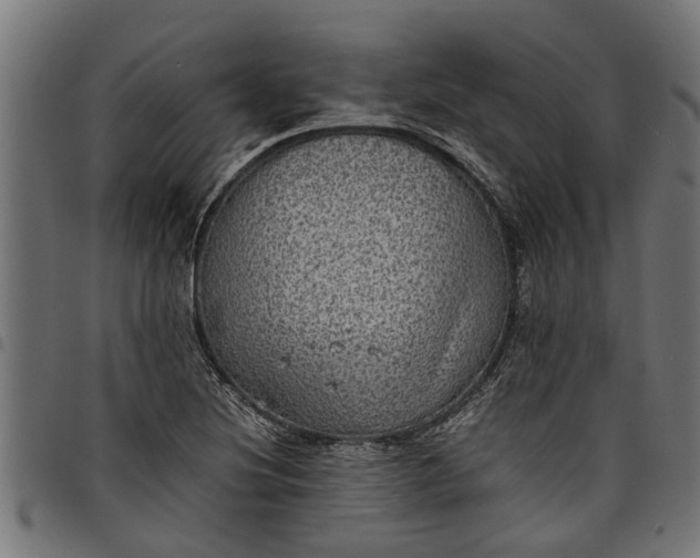 X0000097801220200803281027