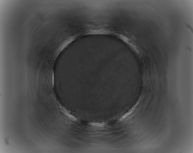 X0000097801221200803281027