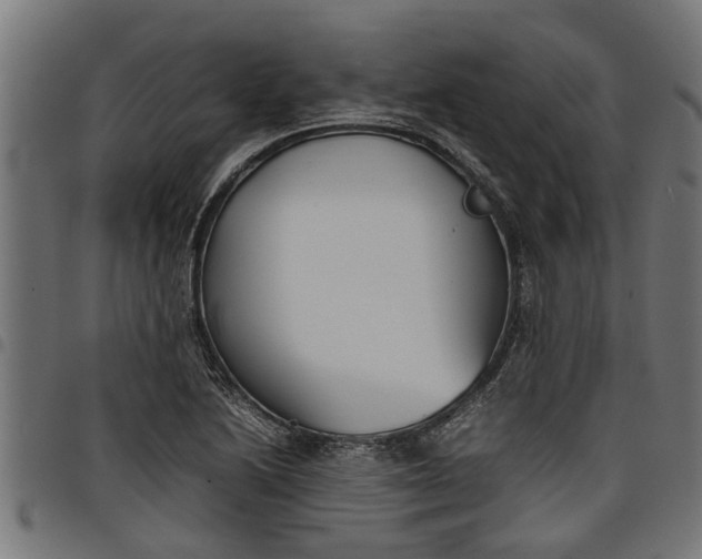 X0000097801222200803281027