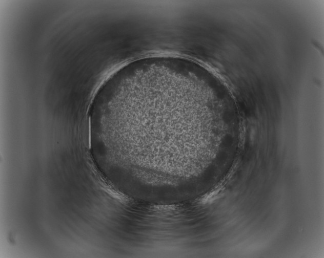 X0000097801223200803281027