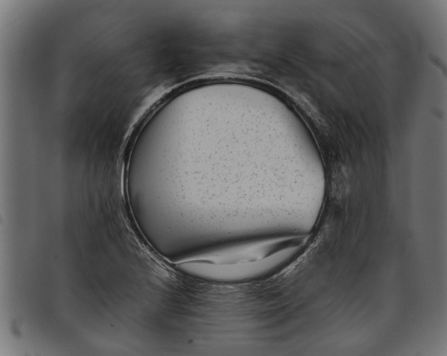 X0000097801224200803281027