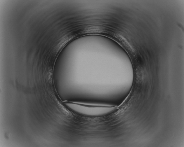 X0000097801225200803281027