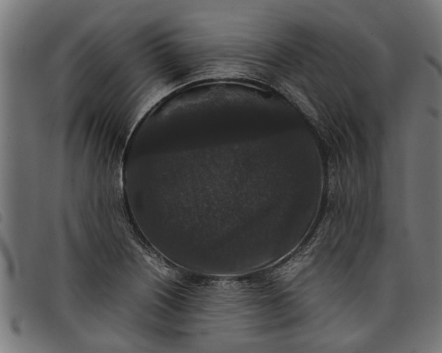 X0000097801226200803281027