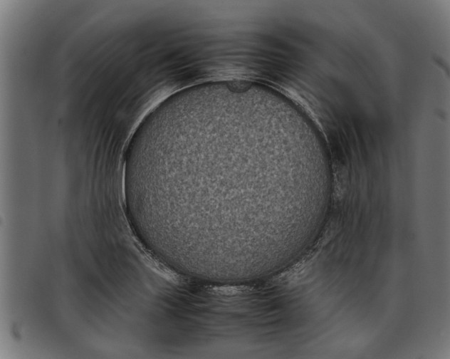 X0000097801227200803281027