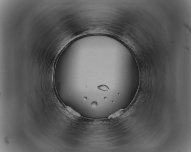 X0000097801228200803281027