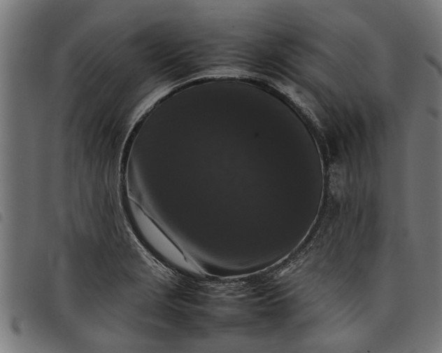 X0000097801229200803281027