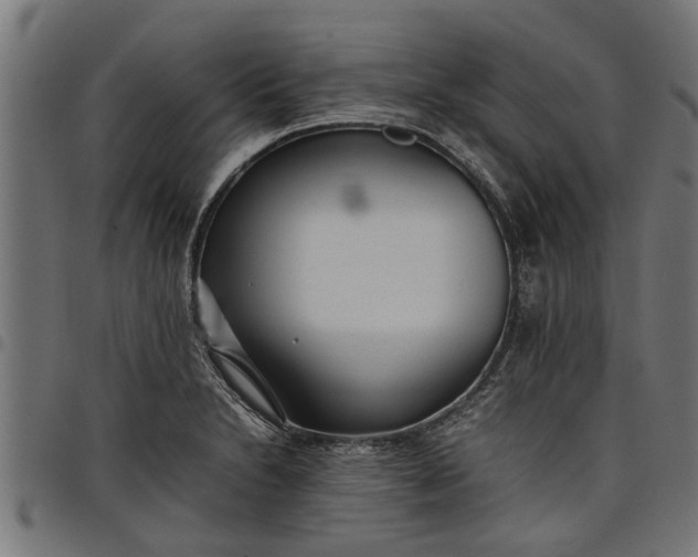 X0000097801230200803281027