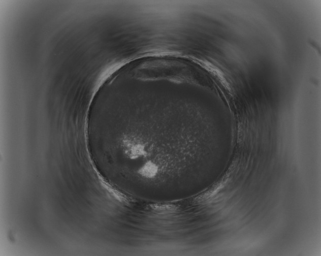 X0000097801231200803281027