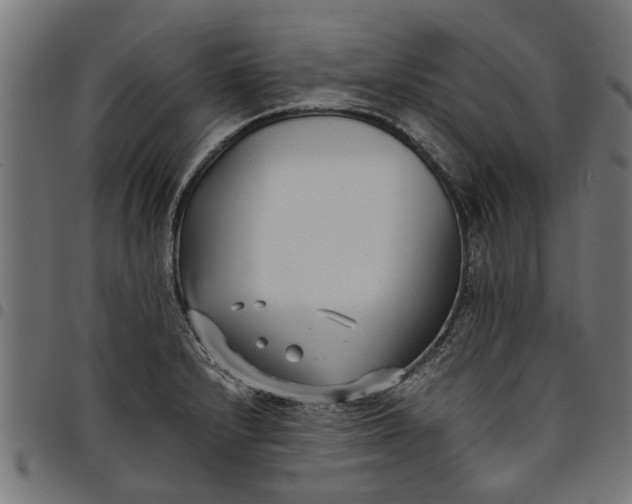 X0000097801232200803281027