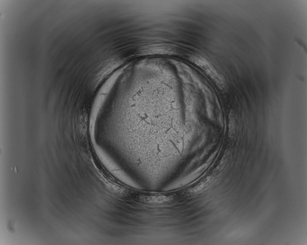 X0000097801233200803281027