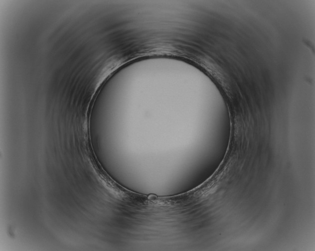 X0000097801234200803281027