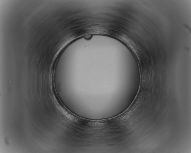 X0000097801235200803281027