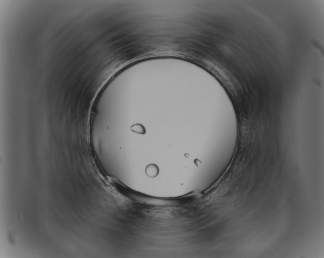 X0000097801236200803281027