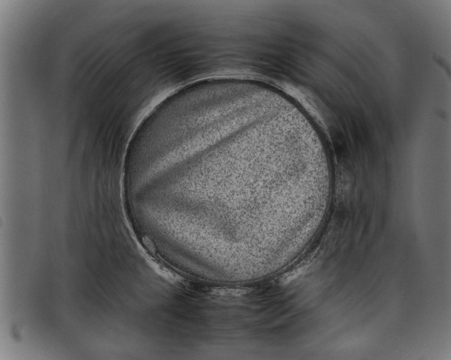 X0000097801237200803281027