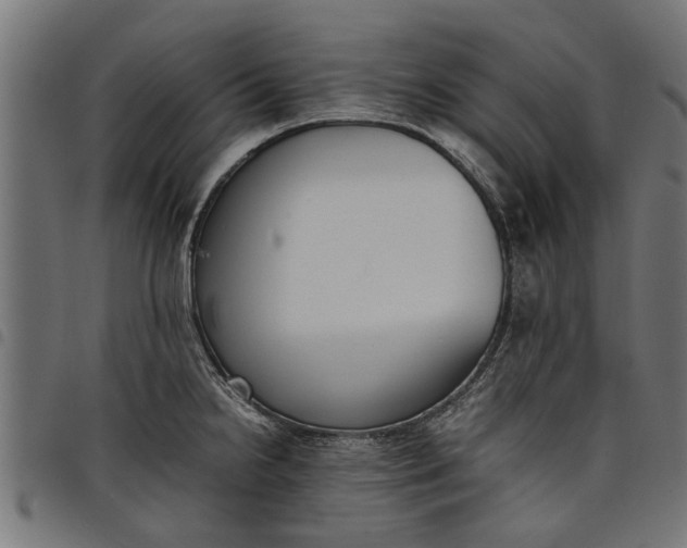 X0000097801238200803281028