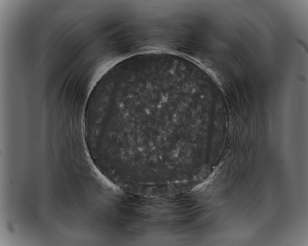 X0000097801239200803281028