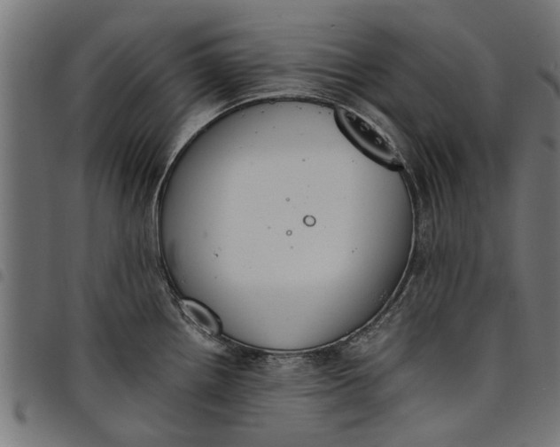 X0000097801242200803281028