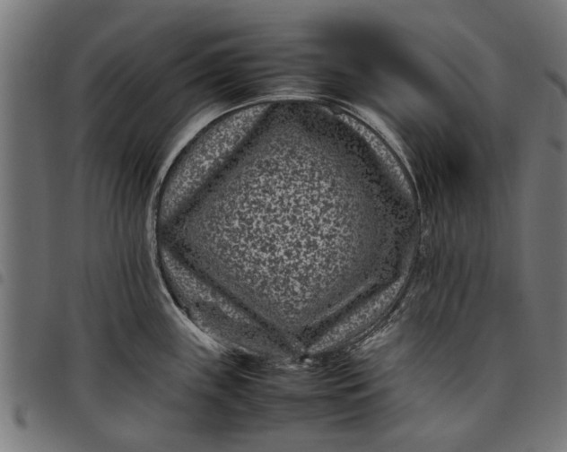 X0000097801243200803281028