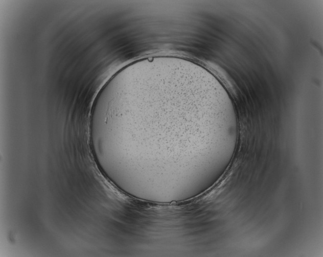 X0000097801244200803281028