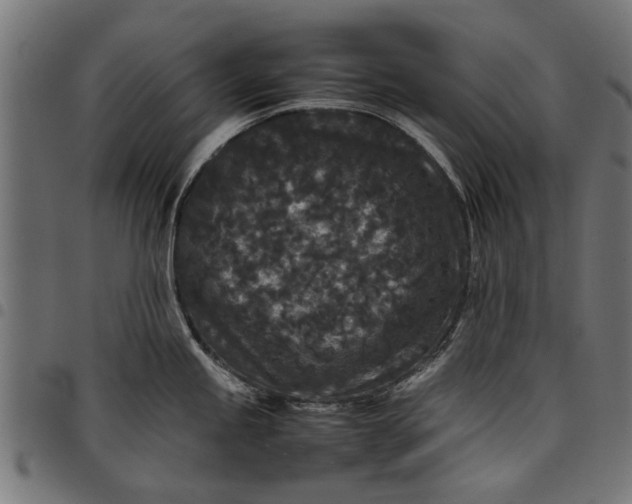 X0000097801245200803281028