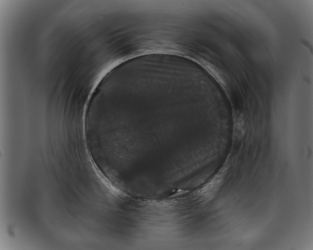 X0000097801246200803281028