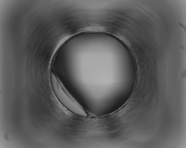 X0000097801248200803281028