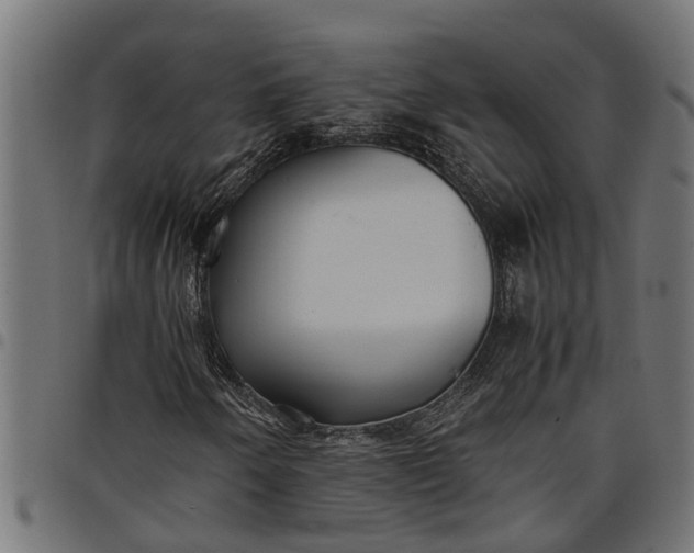 X0000097801250200803281027