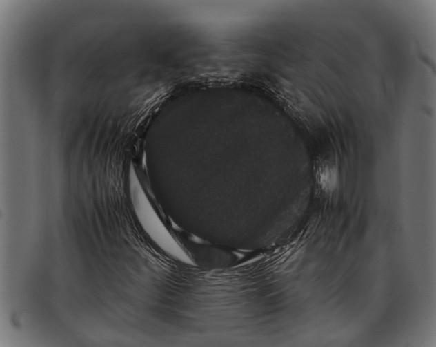 X0000097801252200803281027