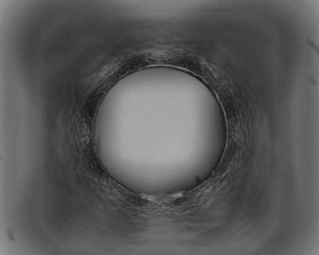 X0000097801253200803281027