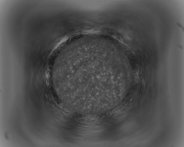 X0000097801254200803281027