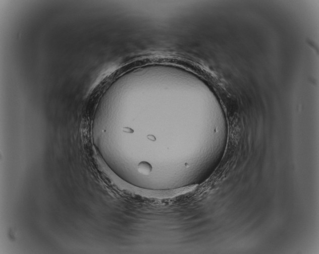 X0000097801255200803281027