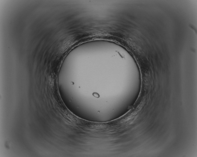 X0000097801257200803281027