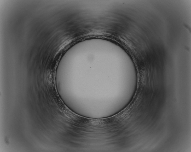 X0000097801258200803281027