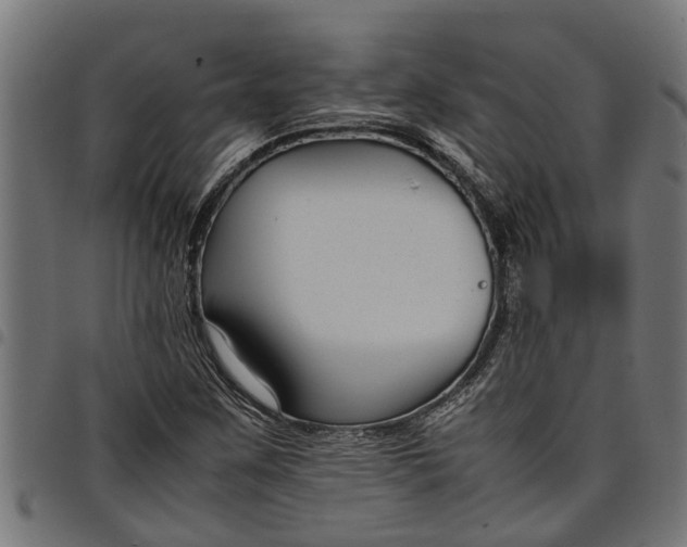 X0000097801259200803281027