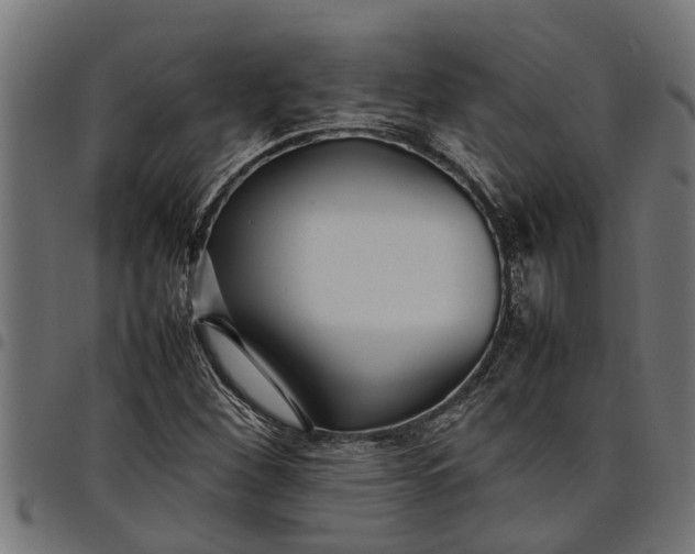 X0000097801260200803281027