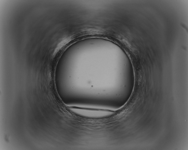 X0000097801261200803281027