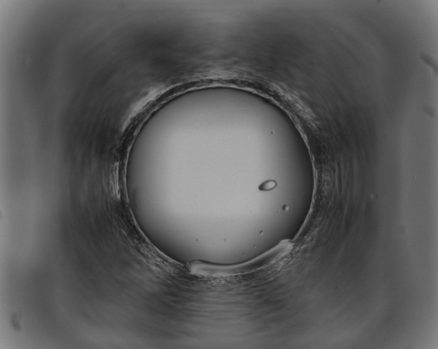 X0000097801262200803281027