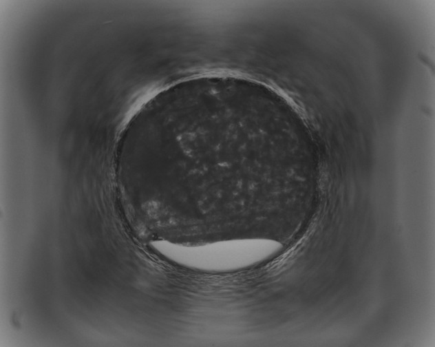 X0000097801263200803281027