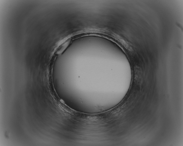 X0000097801264200803281027