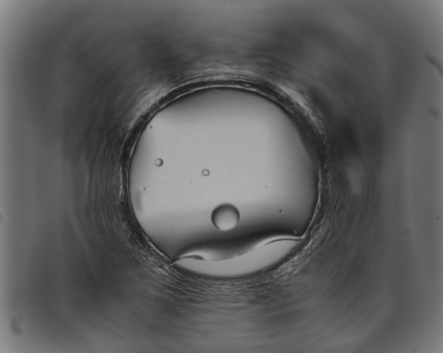 X0000097801267200803281027