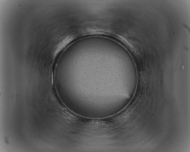 X0000097801269200803281027