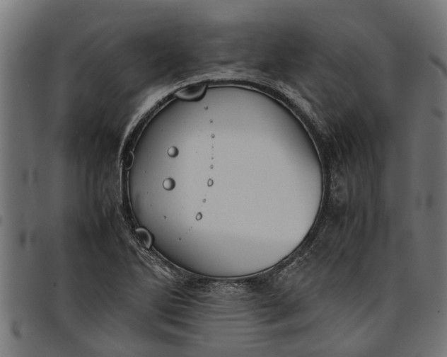 X0000097801270200803281027