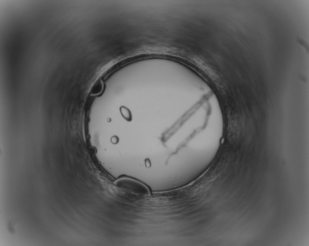 X0000097801272200803281027