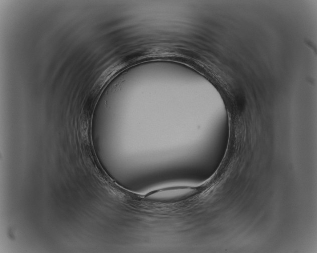 X0000097801273200803281027