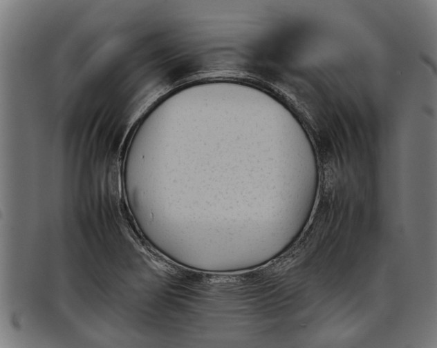 X0000097801274200803281027