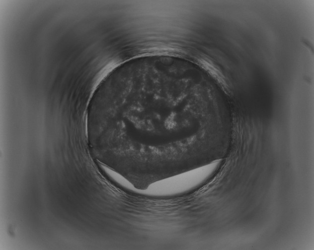 X0000097801275200803281027