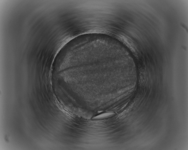 X0000097801276200803281027