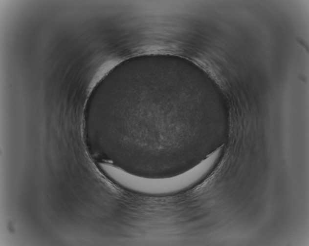 X0000097801277200803281027