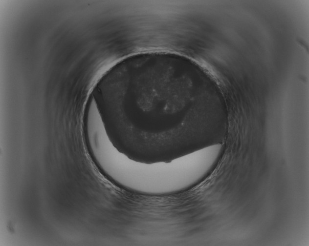 X0000097801279200803281027