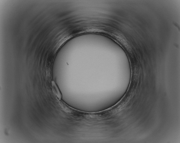 X0000097801281200803281027